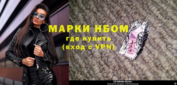 сатива Покачи