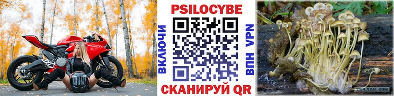 blacksprut ссылка  Петухово  Галлюциногенные грибы Magic Shrooms 